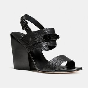 Coach Black Dennis Snake Embossed Heels